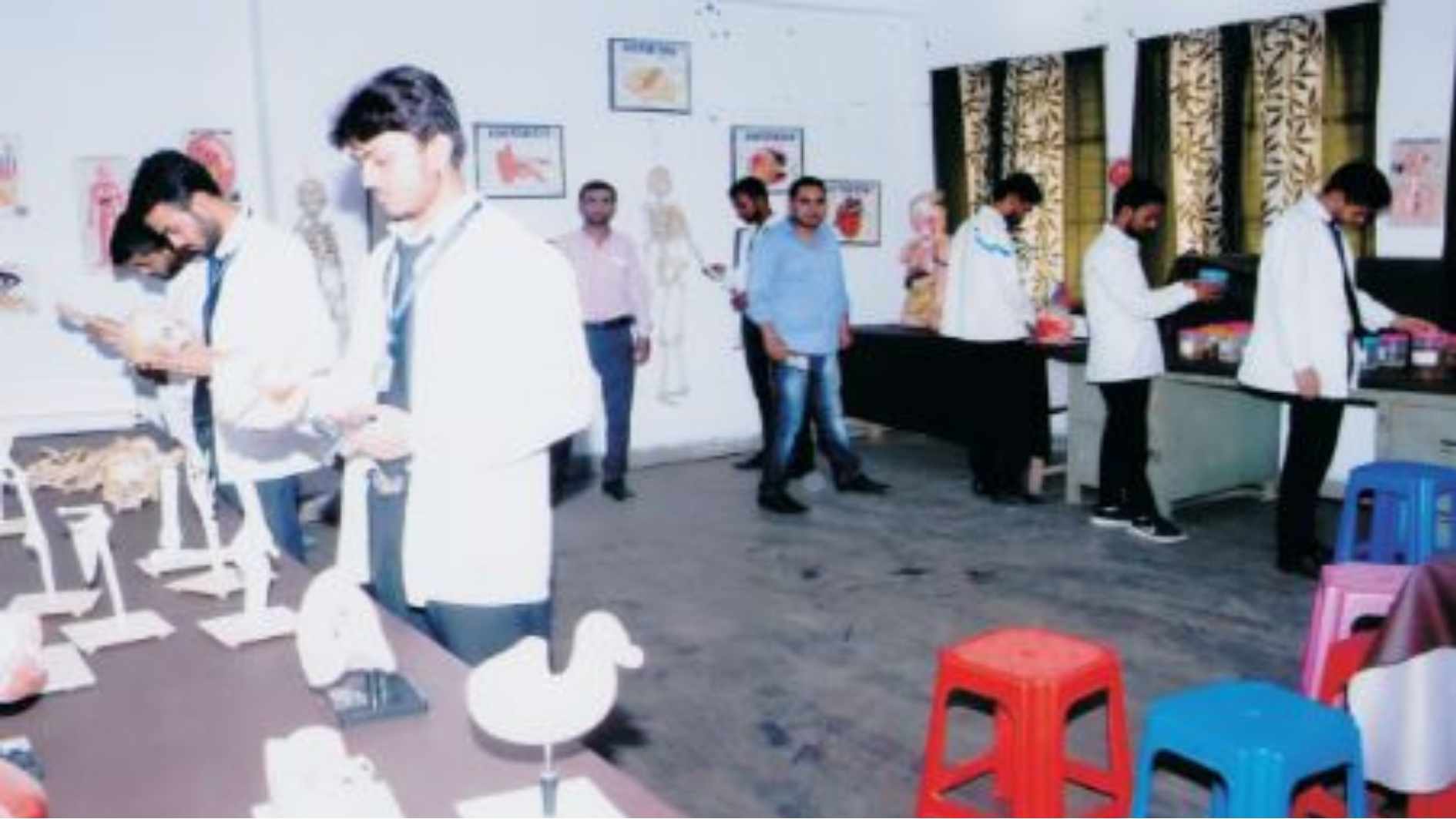 Students in Museum Specimen Room Studying About the Anatomy (Osteology)